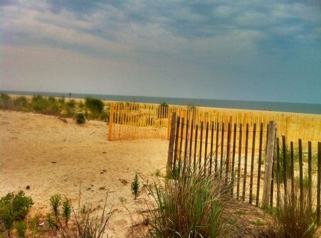 Stroll the Beach