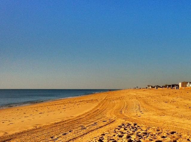 Stroll the Beach